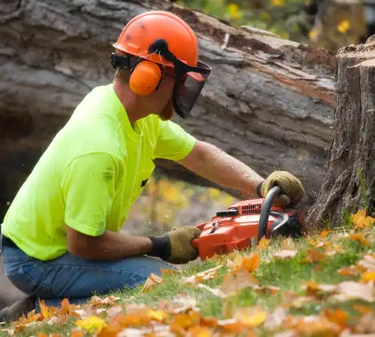 tree services Glenn Dale